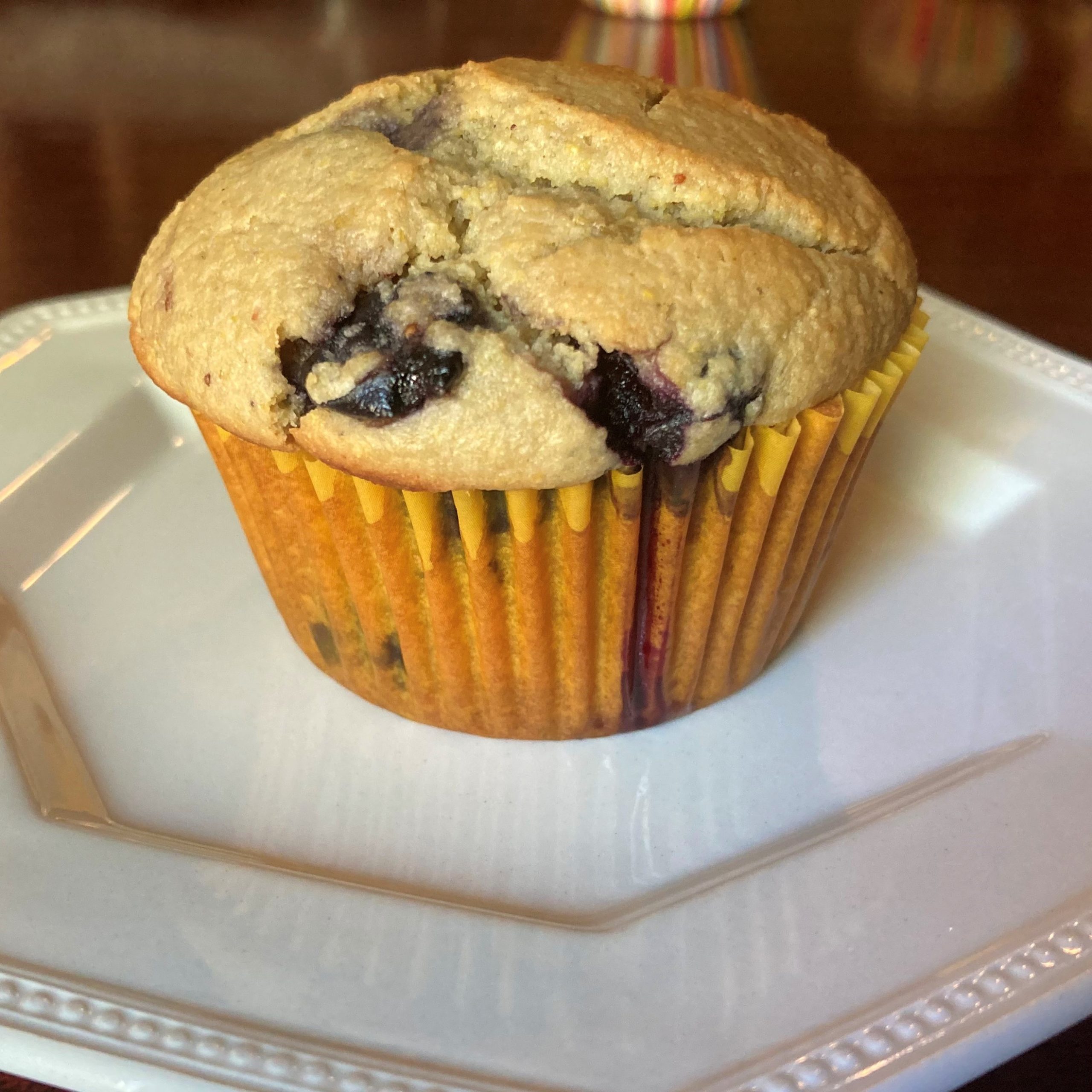 Gluten-Free Dairy-Free Sugar-Free Blueberry Muffins